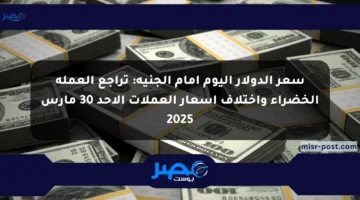 سعر الدولار اليوم أمام الجنيه: تراجع العملة الخضراء واختلاف أسعار العملات الأحد 30 مارس 2025